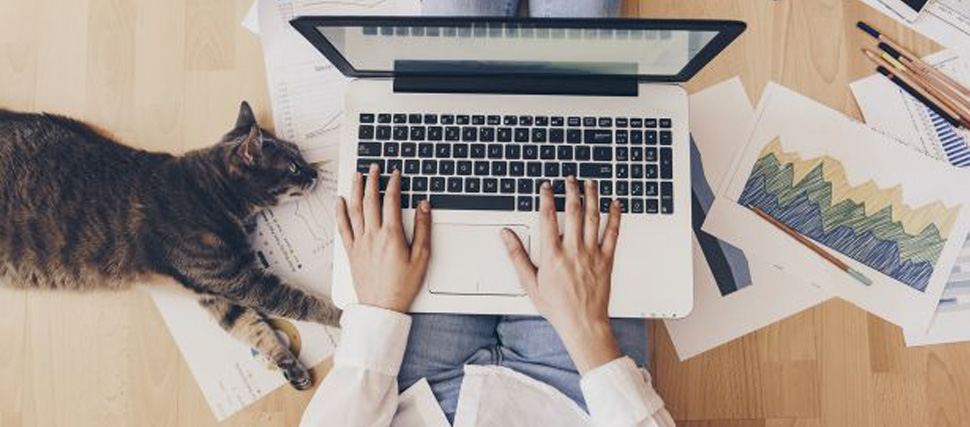 Stay Productive while Working Remotely