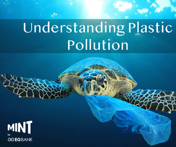 Plastic Waste