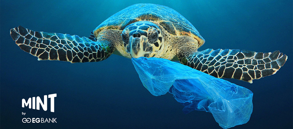 Plastic Waste